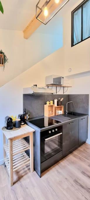 Le Duplex Catherine - Metro - Gare - Wifi Тулуза Экстерьер фото