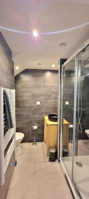 Le Duplex Catherine - Metro - Gare - Wifi Тулуза Экстерьер фото