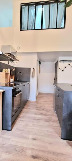 Le Duplex Catherine - Metro - Gare - Wifi Тулуза Экстерьер фото