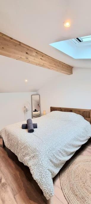 Le Duplex Catherine - Metro - Gare - Wifi Тулуза Экстерьер фото