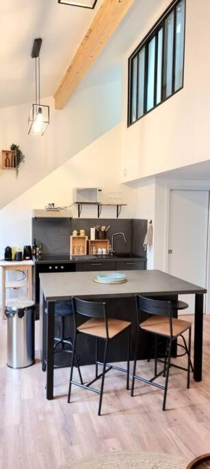 Le Duplex Catherine - Metro - Gare - Wifi Тулуза Экстерьер фото