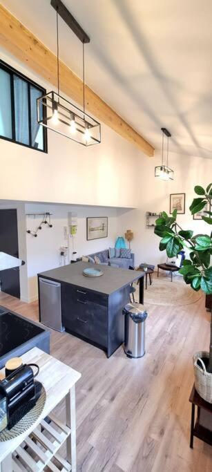 Le Duplex Catherine - Metro - Gare - Wifi Тулуза Экстерьер фото