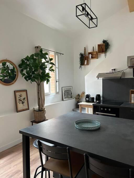 Le Duplex Catherine - Metro - Gare - Wifi Тулуза Экстерьер фото